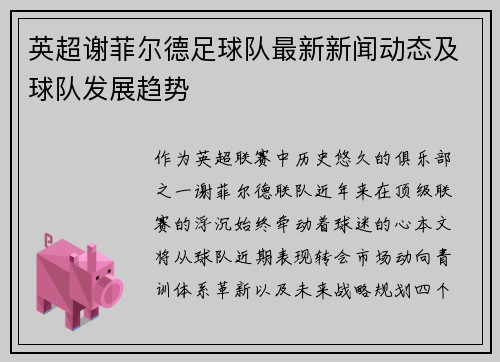 英超谢菲尔德足球队最新新闻动态及球队发展趋势